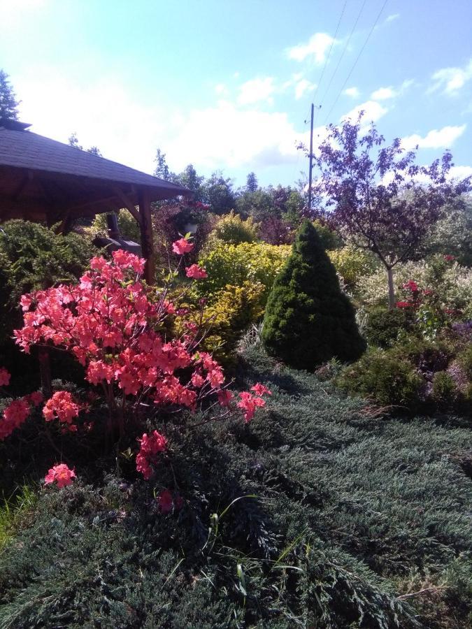 Agroturystyka Pod Barania Gora Kamesznica Dış mekan fotoğraf